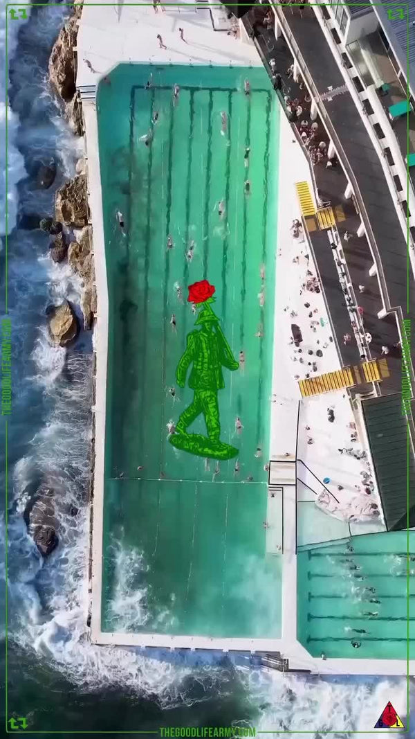Instagram Reel 25