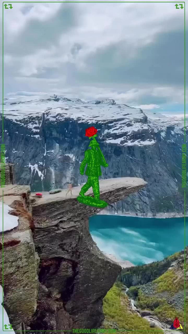 Instagram Reel 5