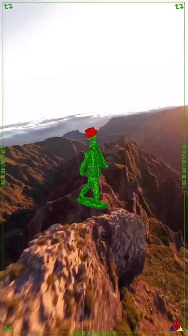 Instagram Reel 23