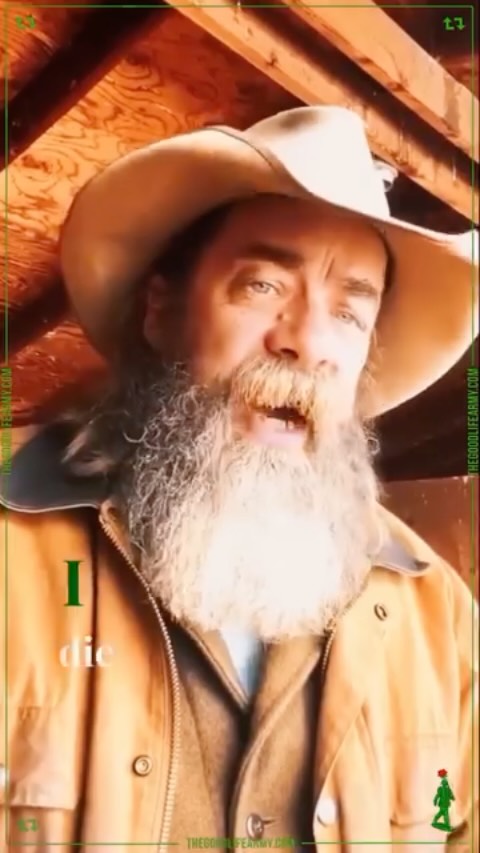 Instagram Reel 22